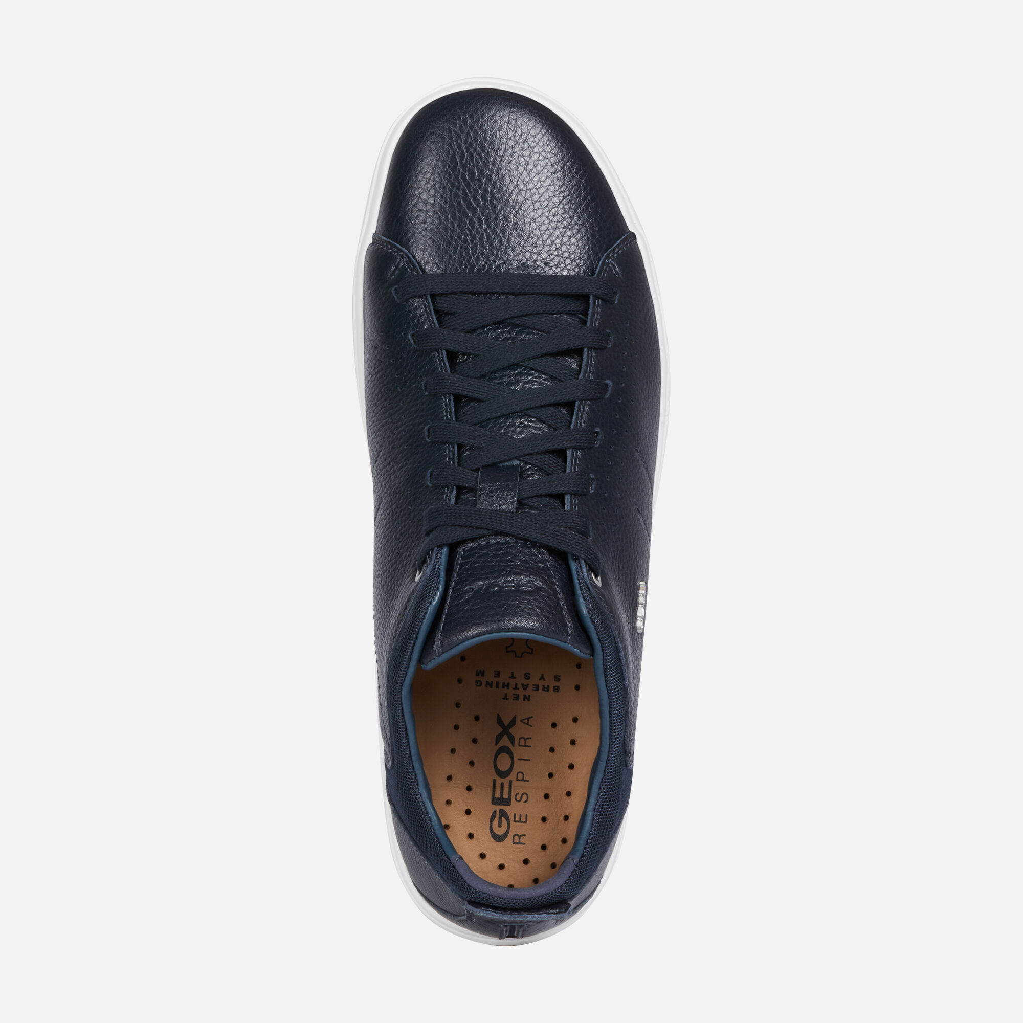 Geox NEBULA Y Man: Navy blue Sneakers 