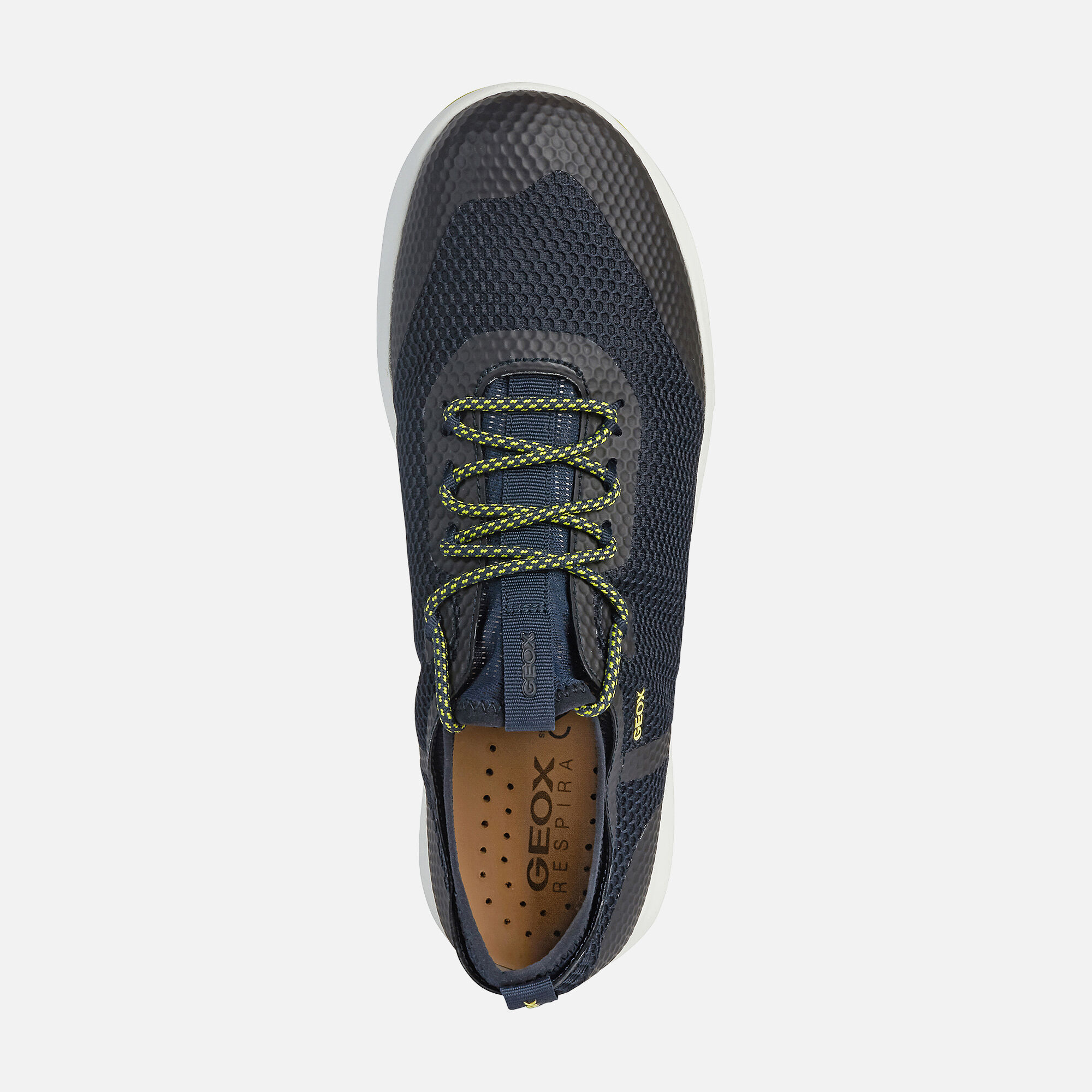 Geox NEBULA X Man: Navy blue Sneakers 