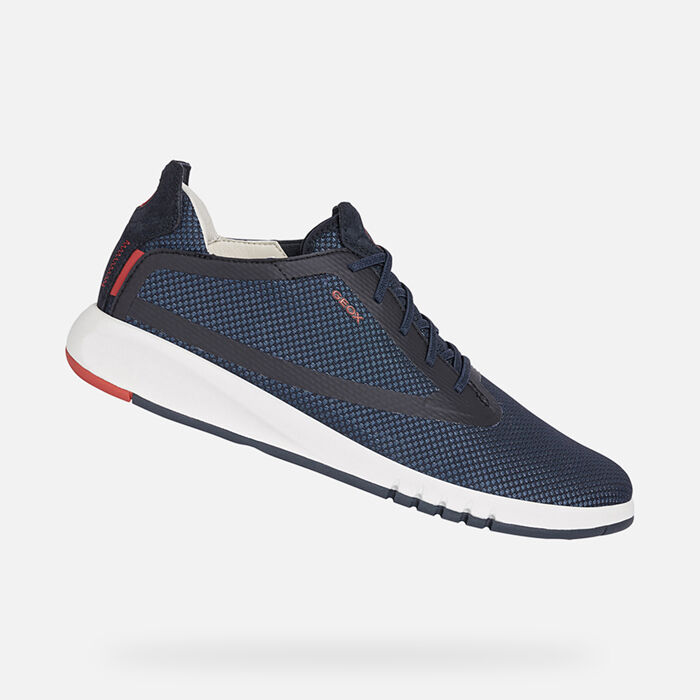 baskets lacoste scratch