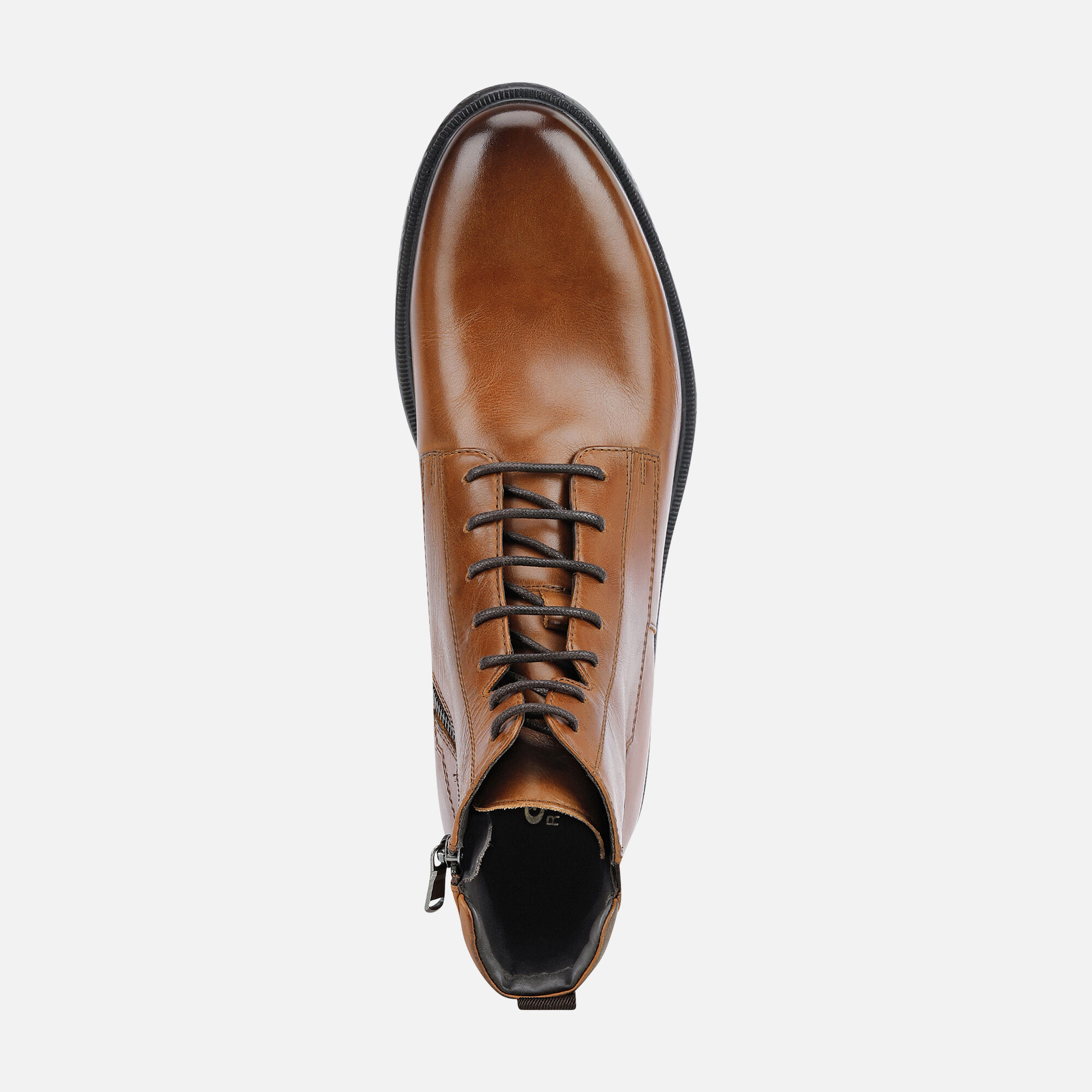 Geox TERENCE Nero Uomo 17682619 Consegna Gratuita