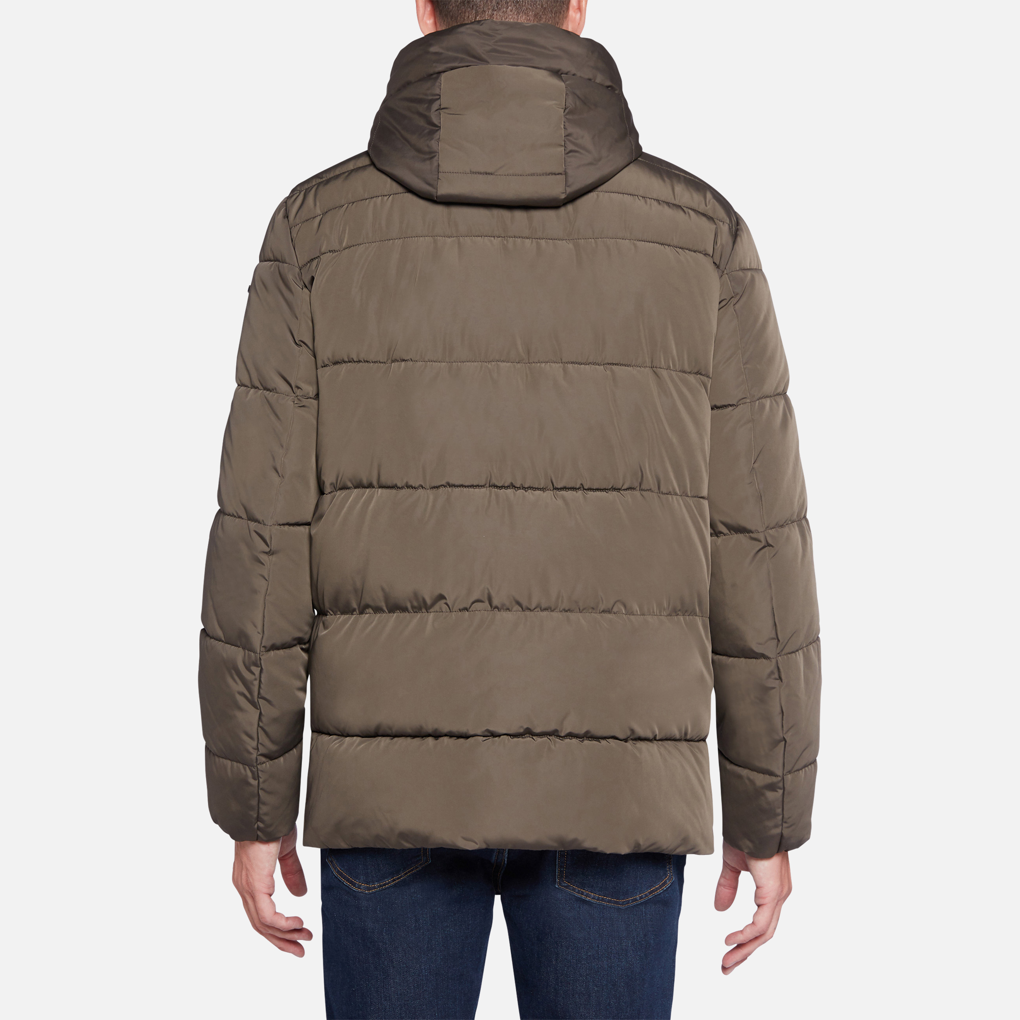 HILSTONE MAN DOWN JACKETS from men Geox