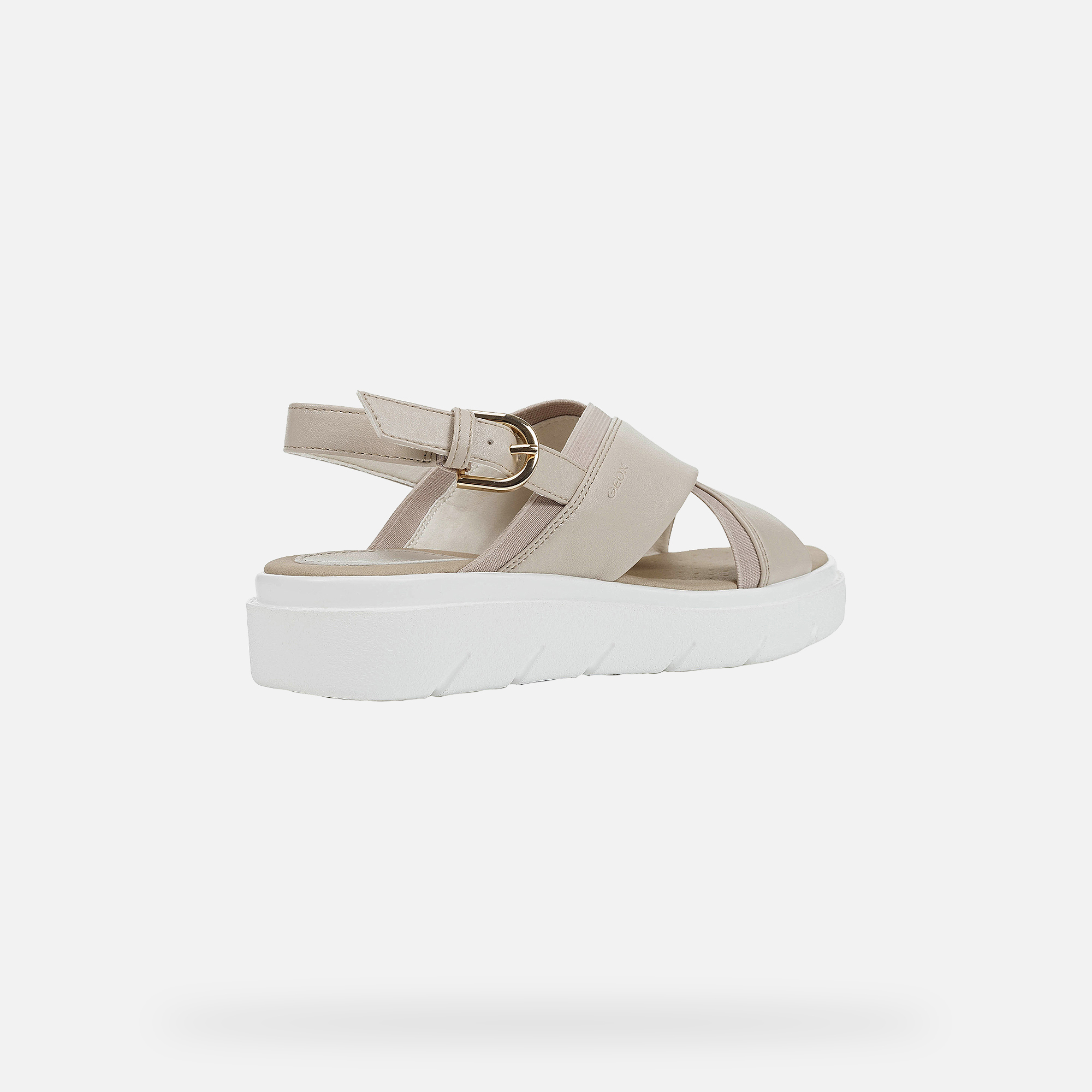 keen shellback