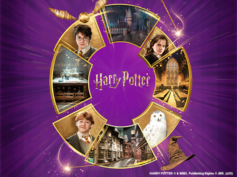 Harry Potter for Geox | GEOX